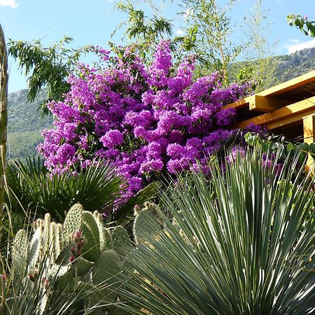 Villa Tropica, Total Privacy, Tropical Garden And Private Pool Kaštela エクステリア 写真