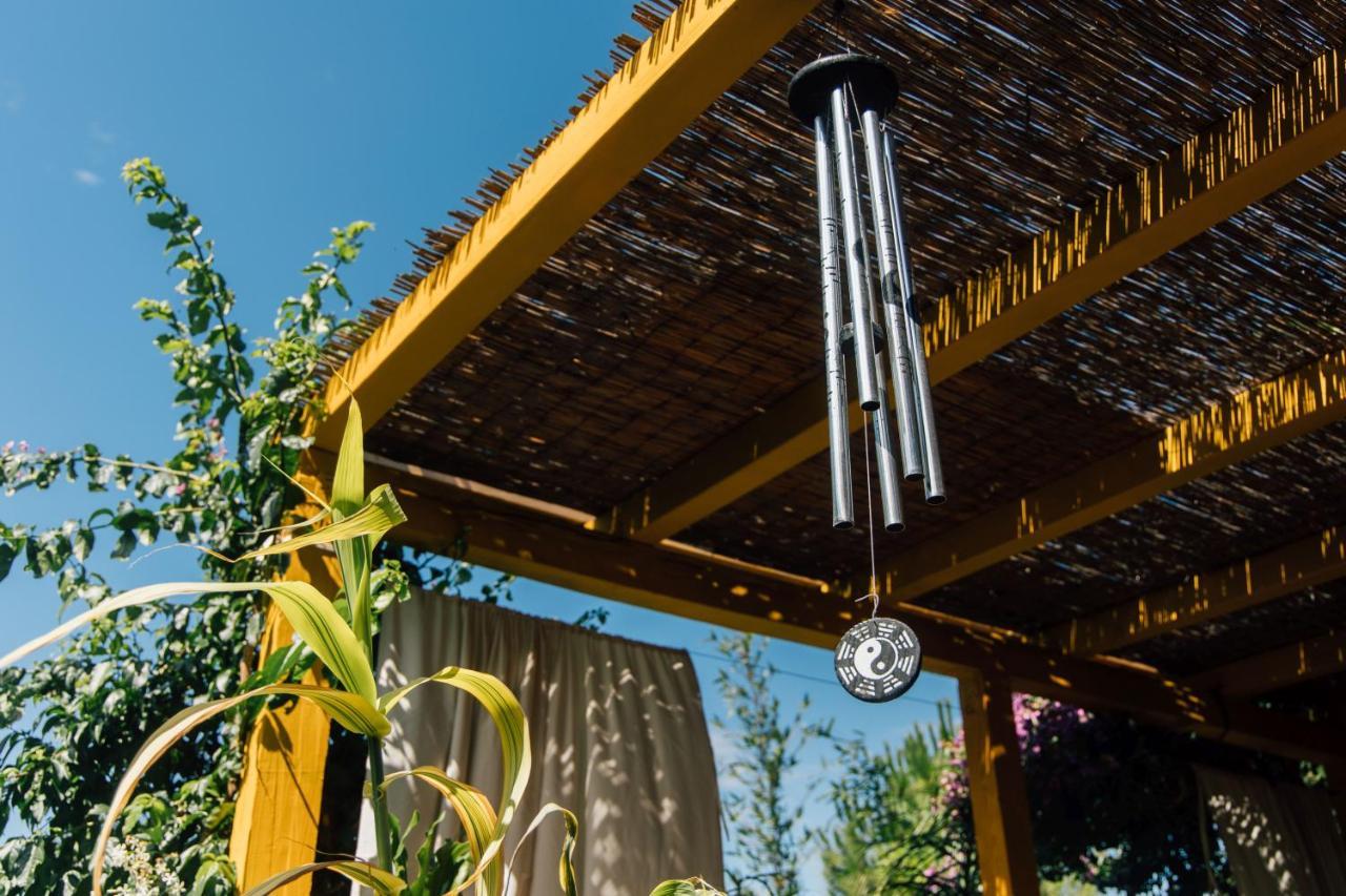 Villa Tropica, Total Privacy, Tropical Garden And Private Pool Kaštela エクステリア 写真