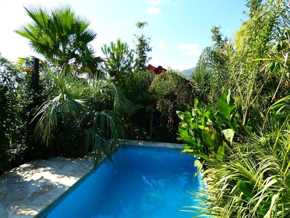Villa Tropica, Total Privacy, Tropical Garden And Private Pool Kaštela エクステリア 写真