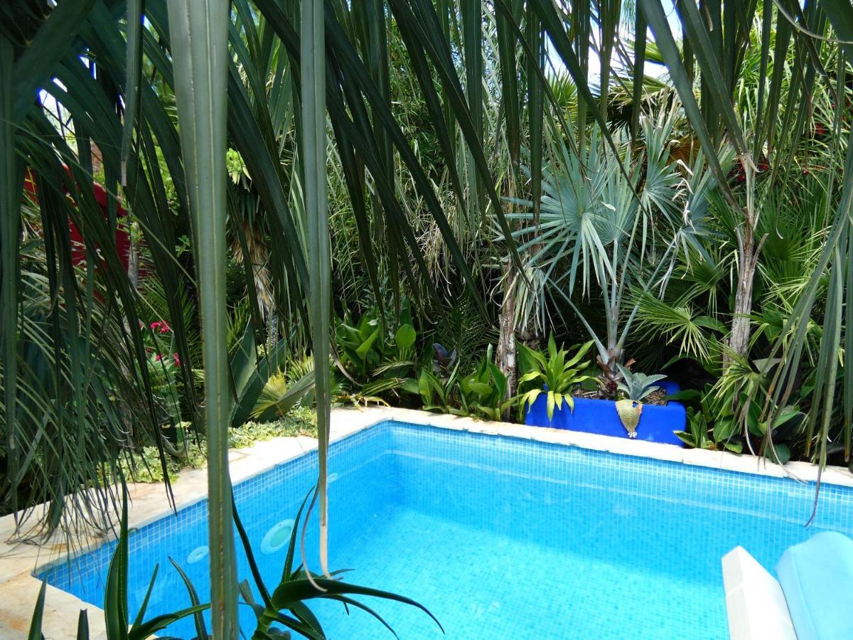Villa Tropica, Total Privacy, Tropical Garden And Private Pool Kaštela エクステリア 写真