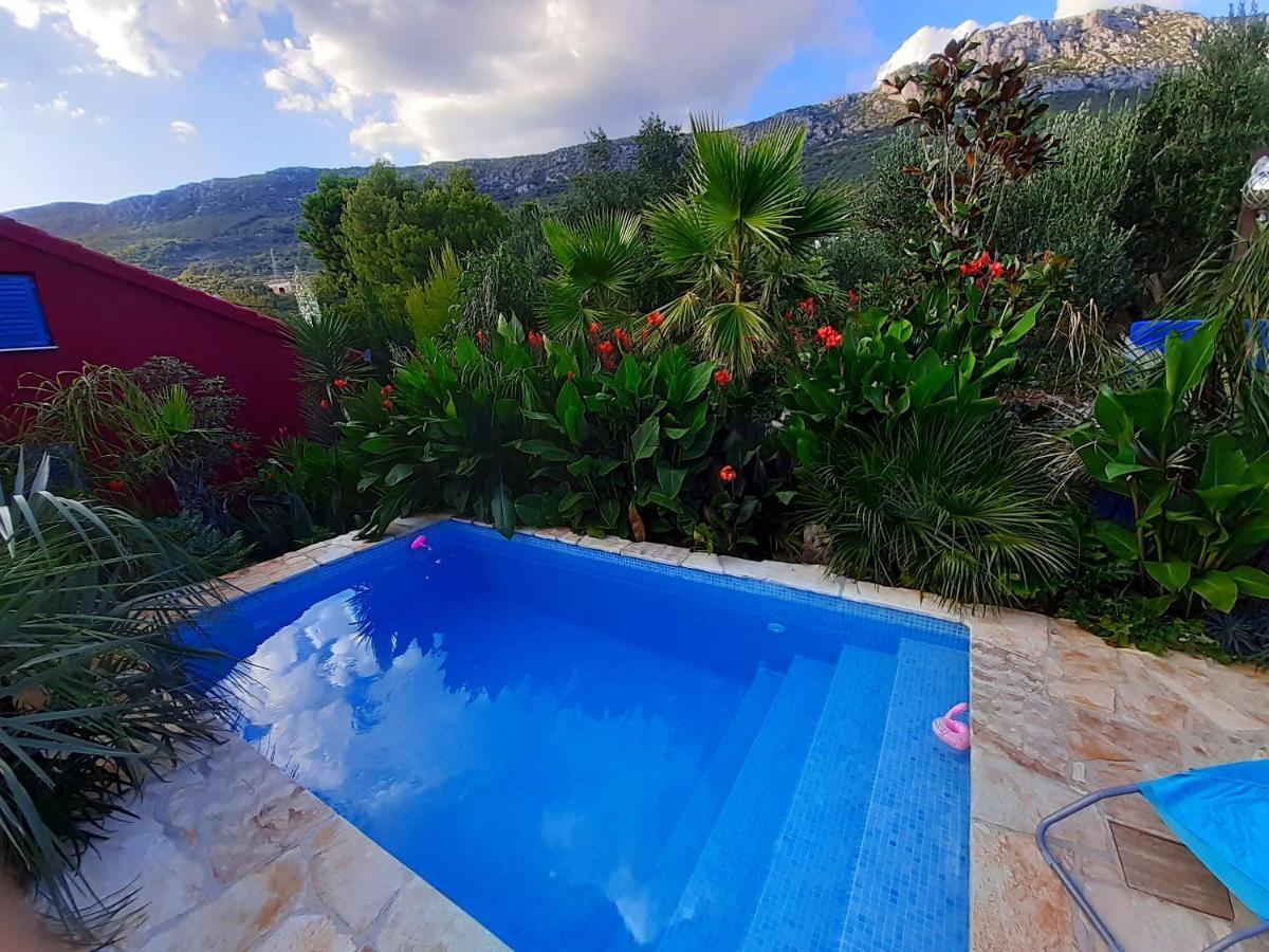 Villa Tropica, Total Privacy, Tropical Garden And Private Pool Kaštela エクステリア 写真